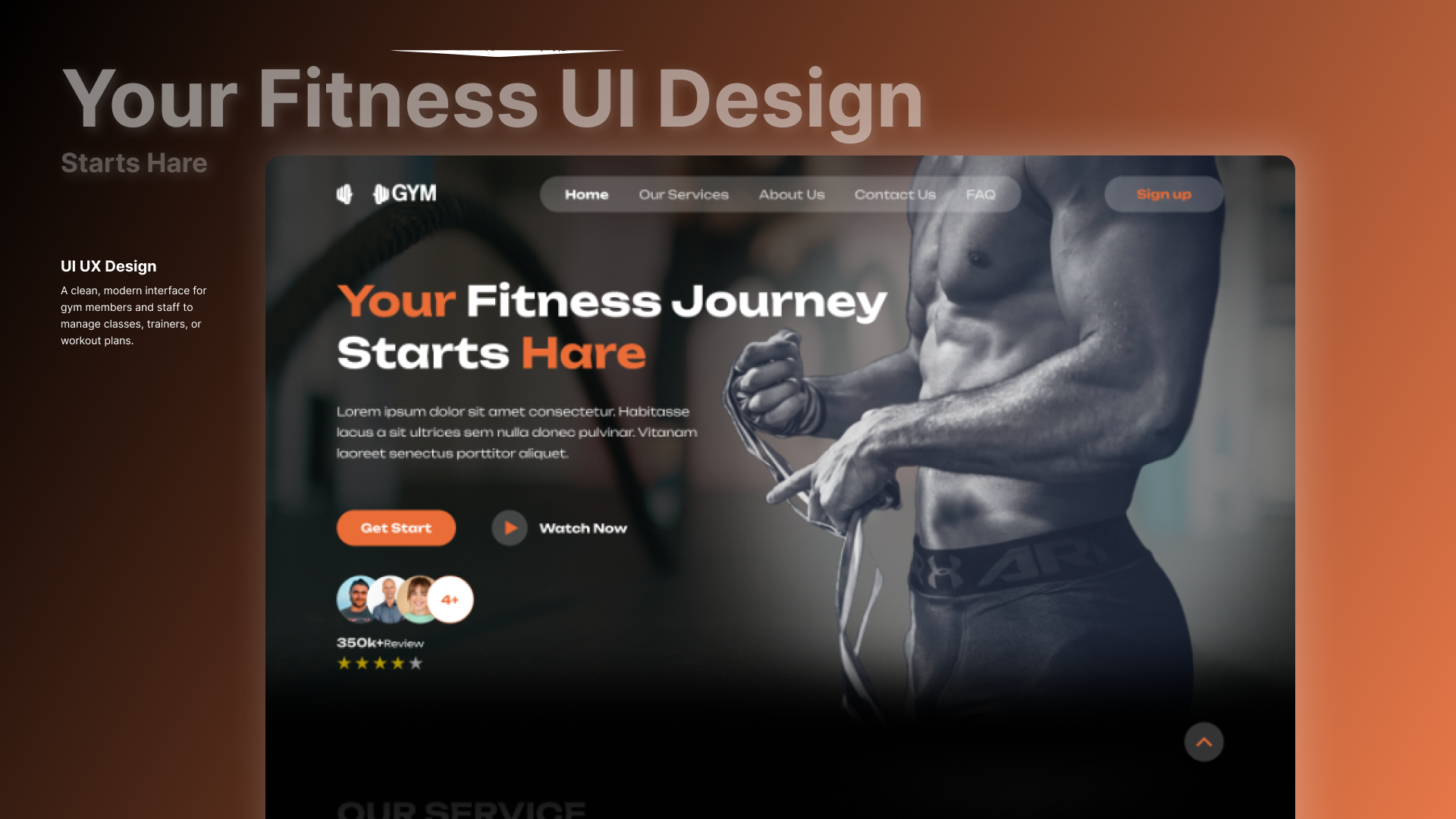 Gym & Fitness Websites